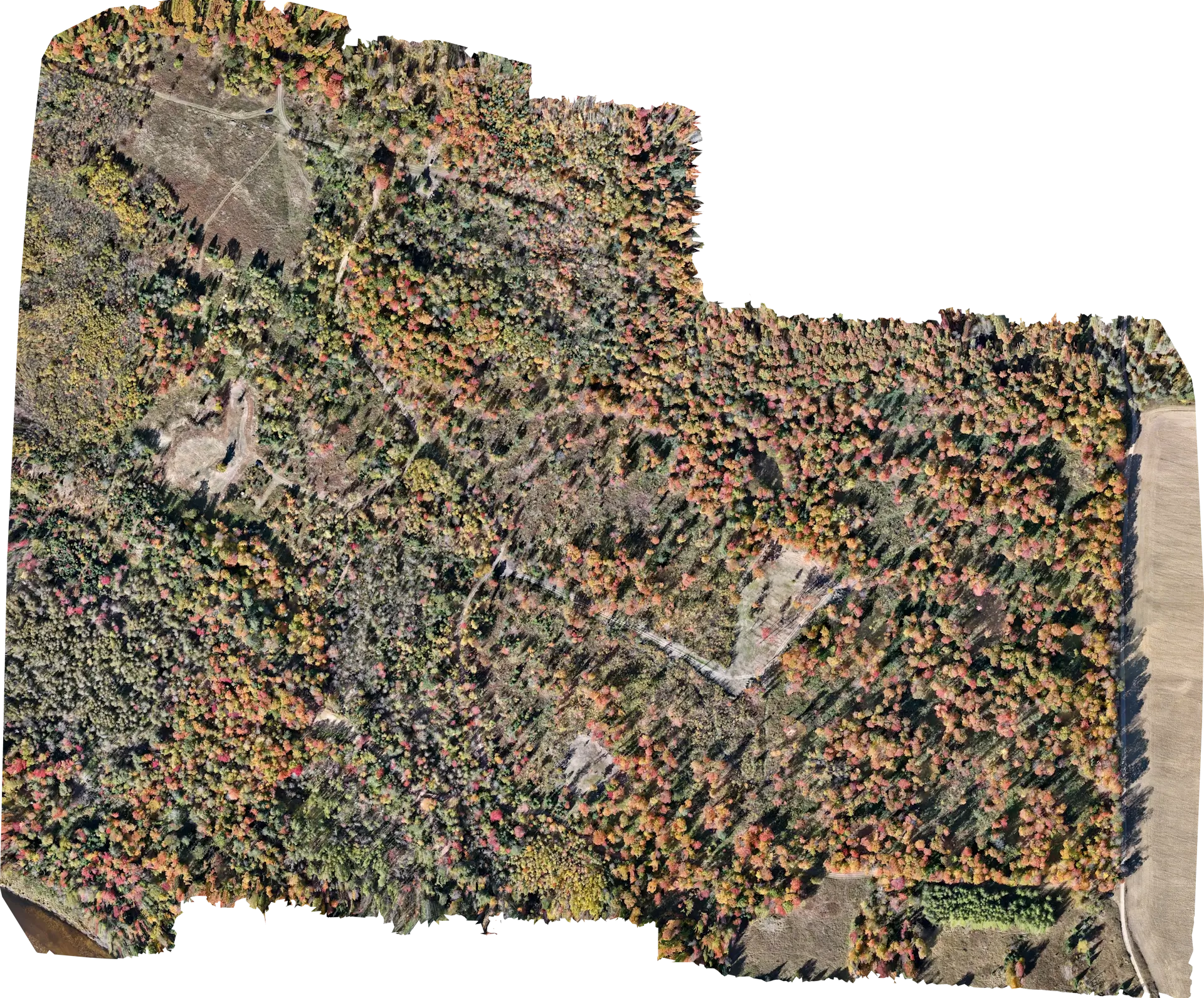 Endeavor Technology Solutions, LLC